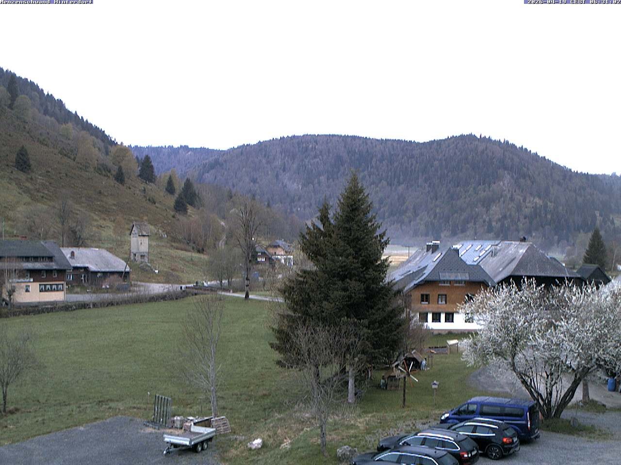 Archived image Webcam Menzenschwand (Hinterdorf)