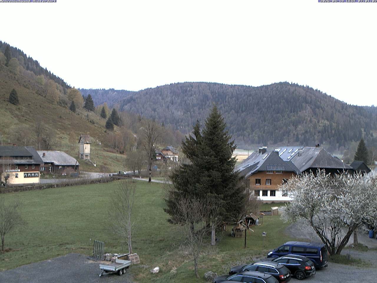 Archived image Webcam Menzenschwand (Hinterdorf)