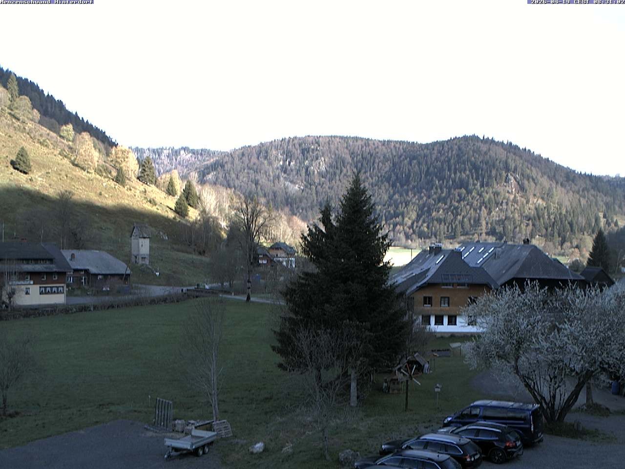 Archived image Webcam Menzenschwand (Hinterdorf)