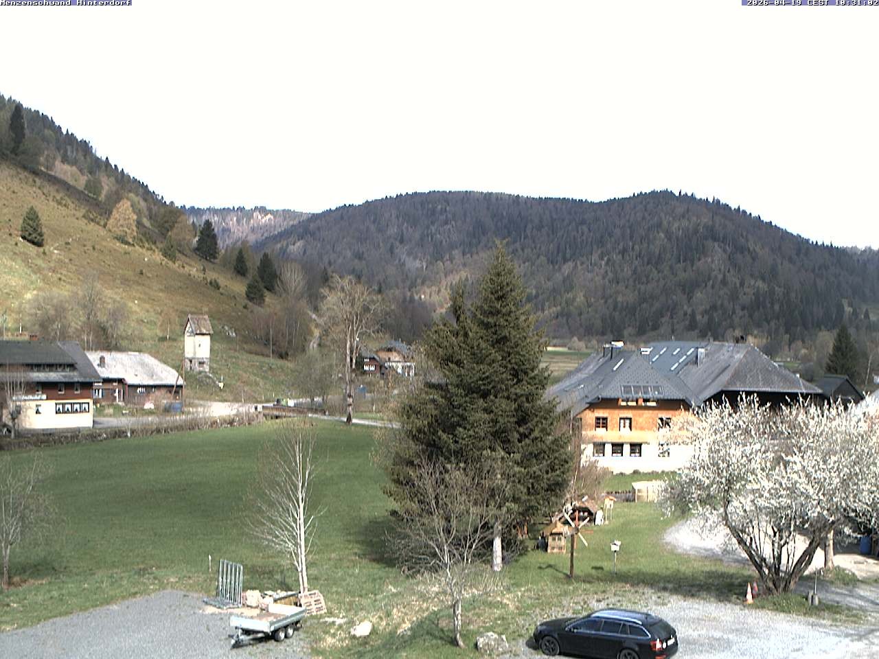 Archived image Webcam Menzenschwand (Hinterdorf)