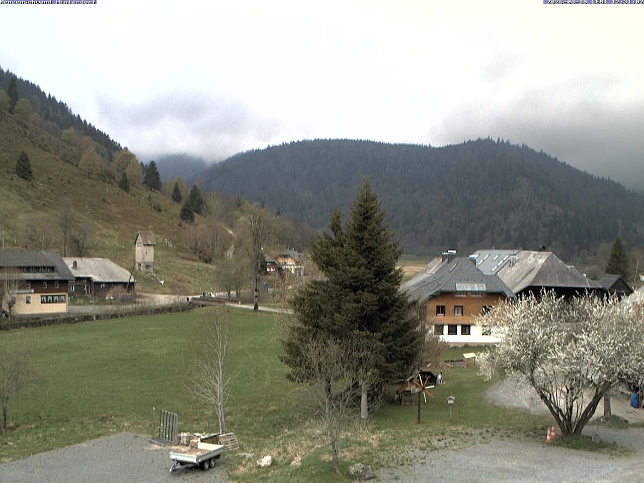 Archiv Foto Webcam Menzenschwand: Hinterdorf