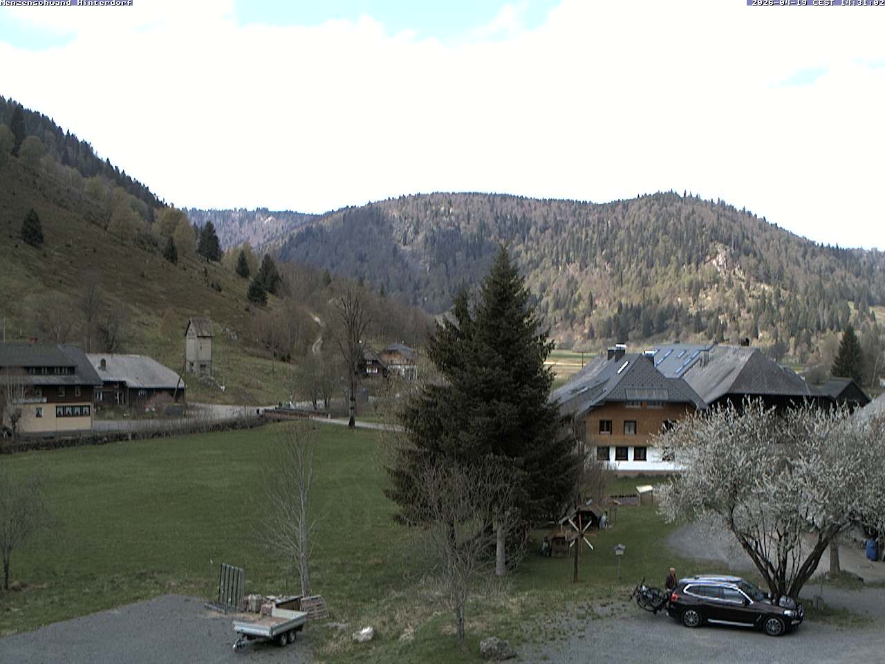 Archiv Foto Webcam Menzenschwand: Hinterdorf