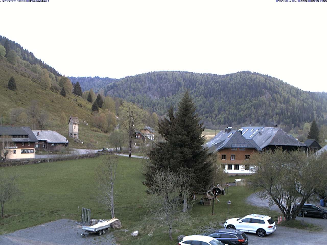 Archiv Foto Webcam Menzenschwand: Hinterdorf