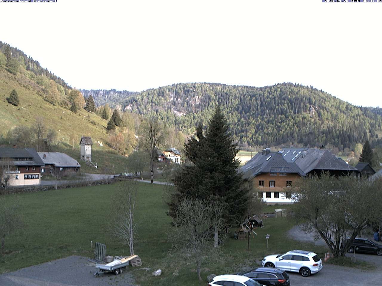 Archiv Foto Webcam Menzenschwand: Hinterdorf