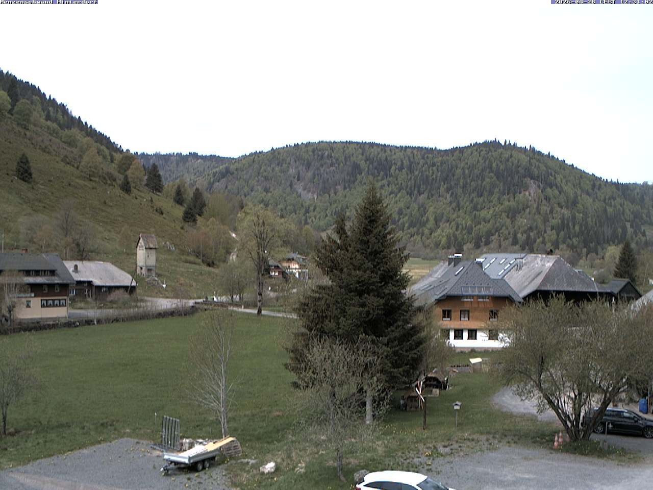 Archiv Foto Webcam Menzenschwand: Hinterdorf