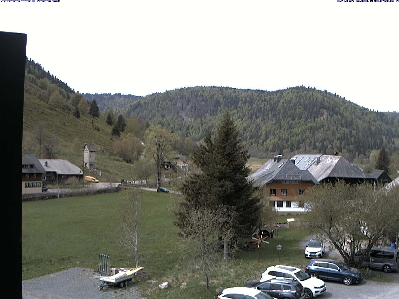 Archiv Foto Webcam Menzenschwand: Hinterdorf