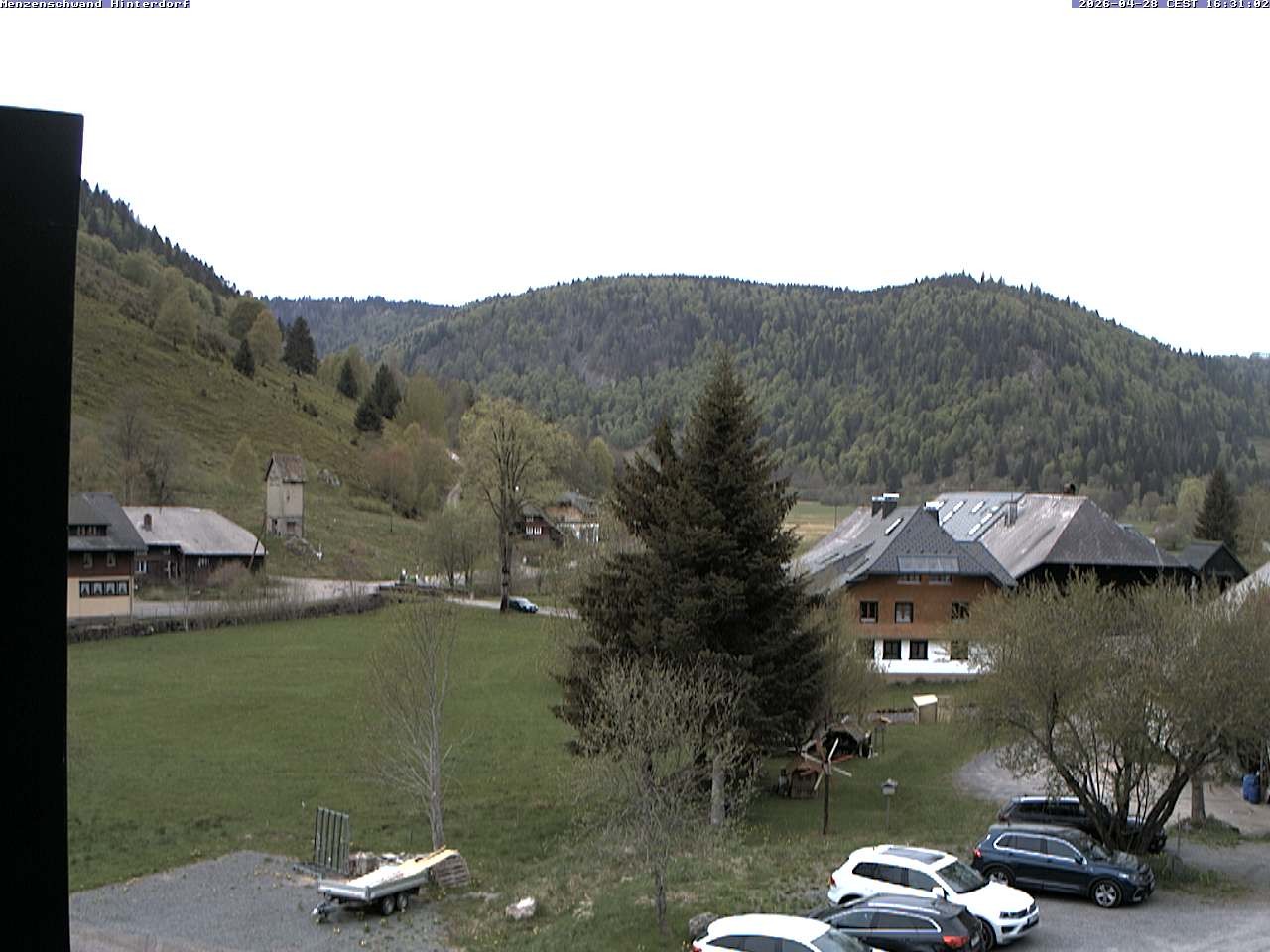 Archiv Foto Webcam Menzenschwand: Hinterdorf