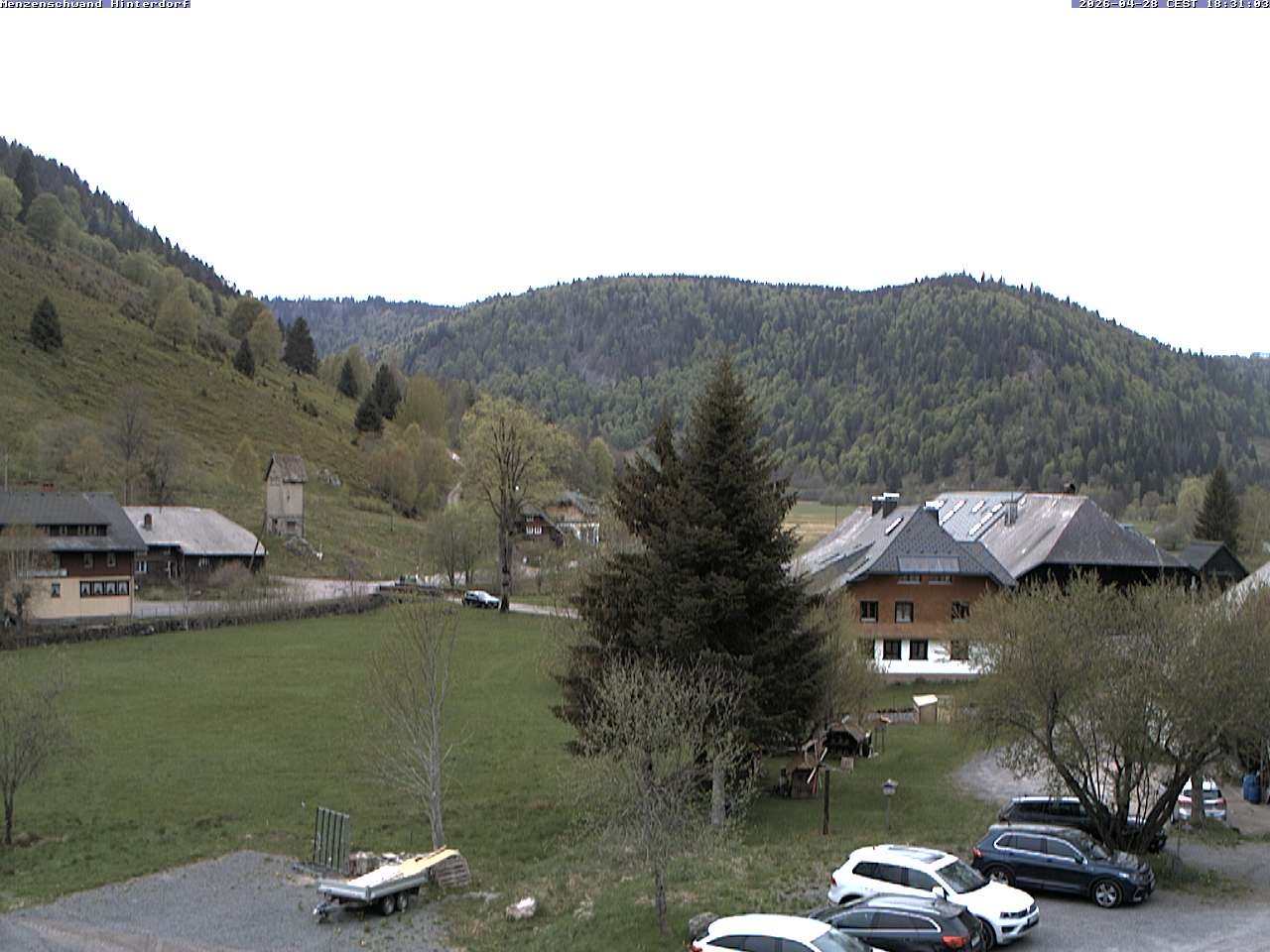 Archiv Foto Webcam Menzenschwand: Hinterdorf
