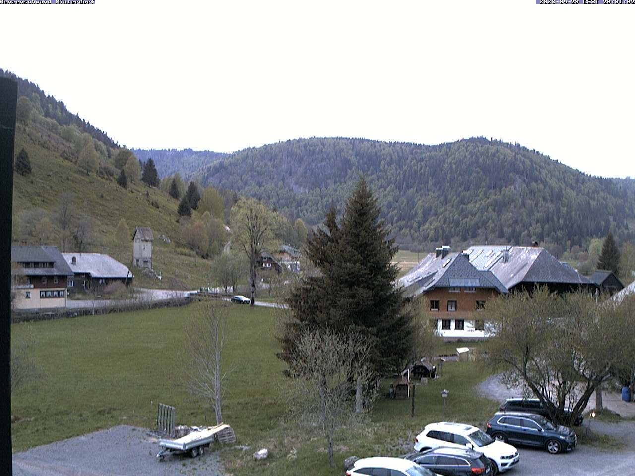 Archiv Foto Webcam Menzenschwand: Hinterdorf