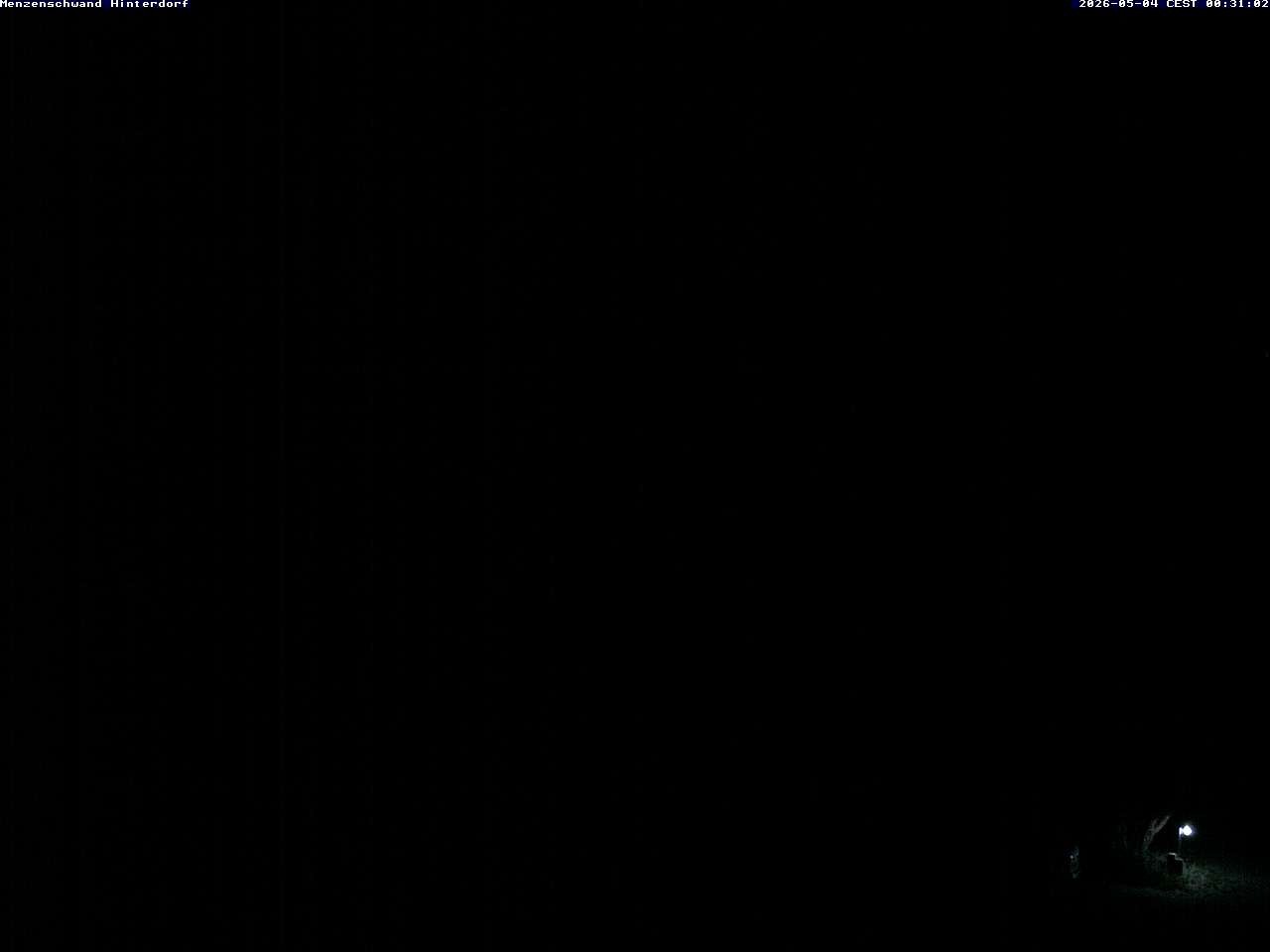 Archiv Foto Webcam Menzenschwand: Hinterdorf