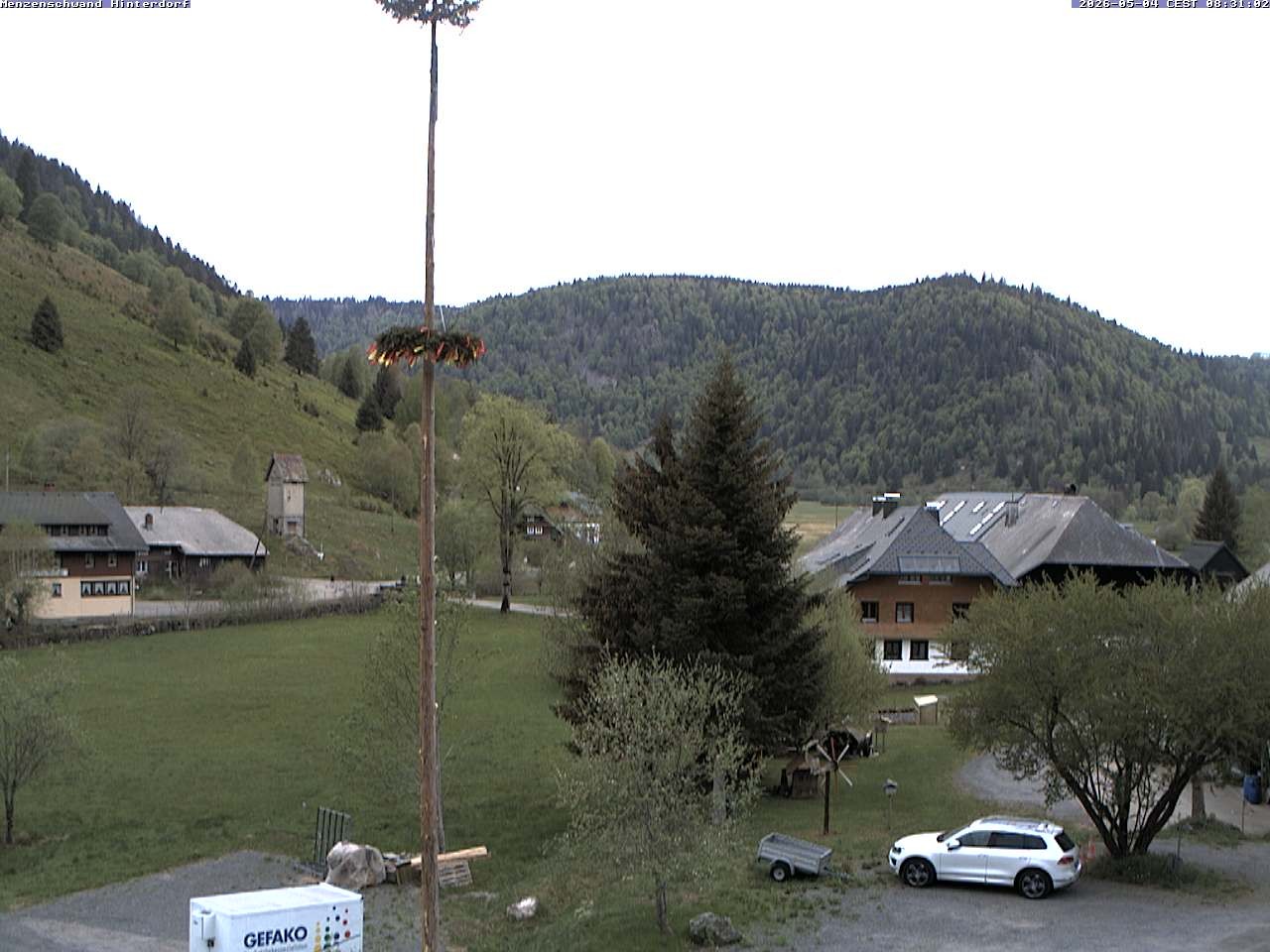 Archiv Foto Webcam Menzenschwand: Hinterdorf