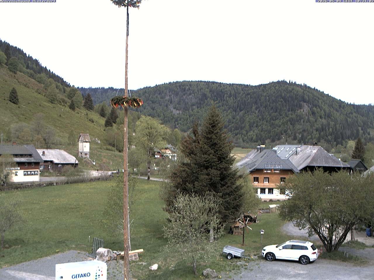Archiv Foto Webcam Menzenschwand: Hinterdorf