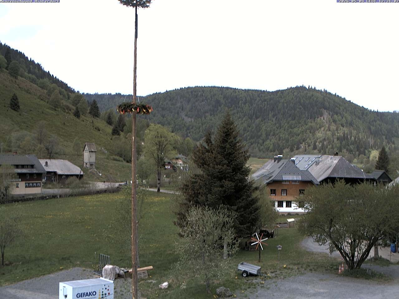Archiv Foto Webcam Menzenschwand: Hinterdorf