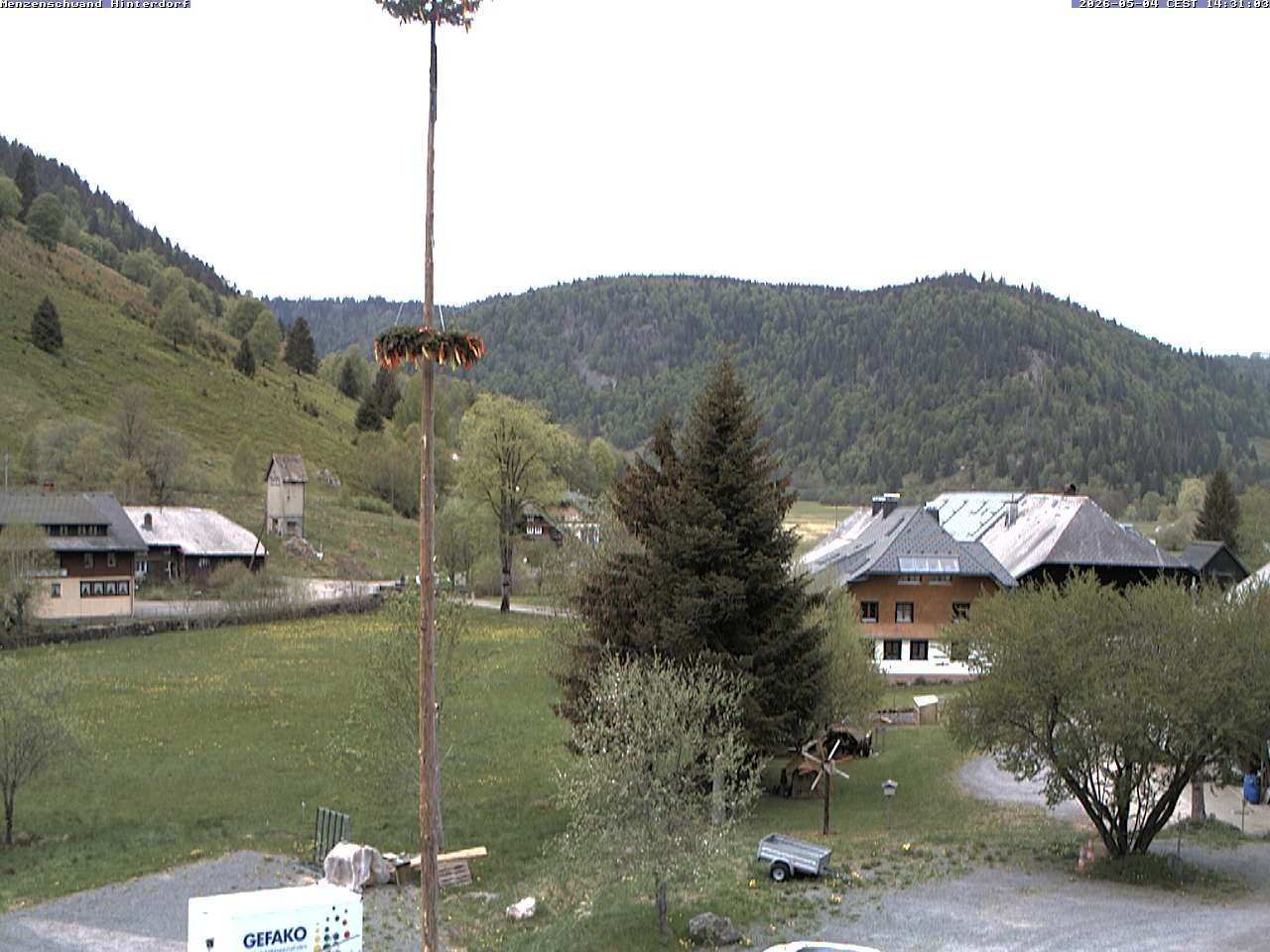 Archiv Foto Webcam Menzenschwand: Hinterdorf