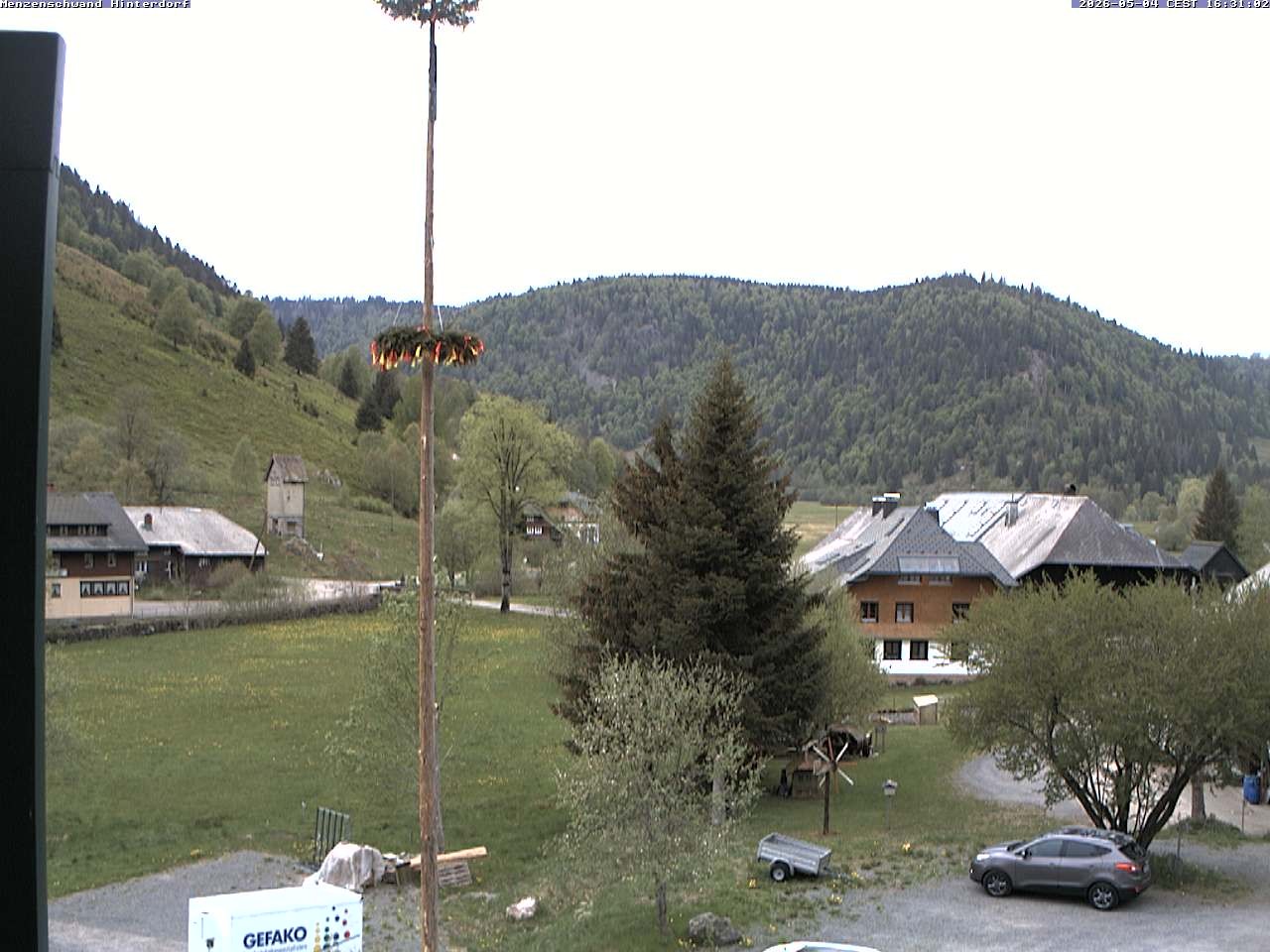 Archiv Foto Webcam Menzenschwand: Hinterdorf