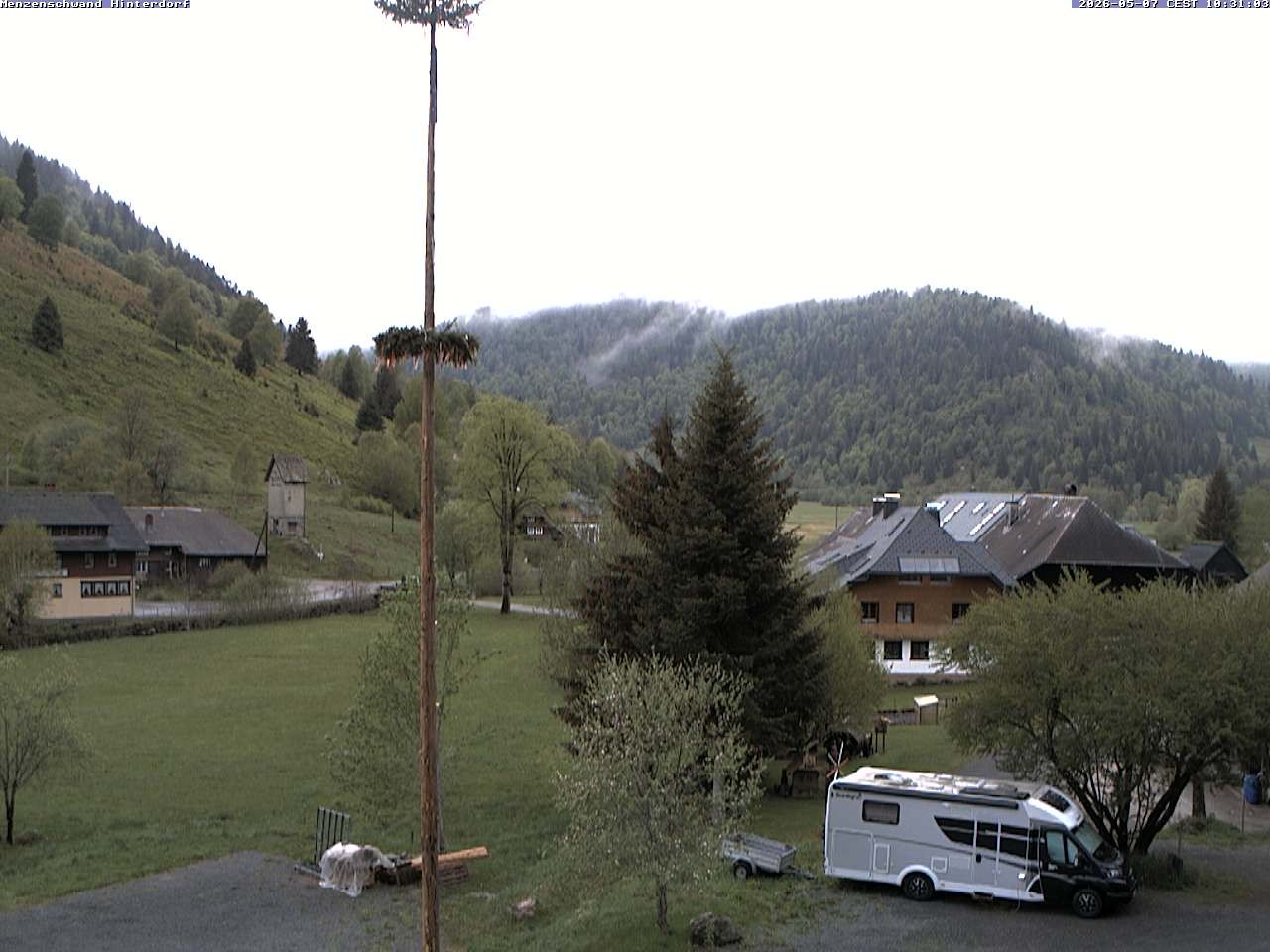 Archived image Webcam Menzenschwand (Hinterdorf)