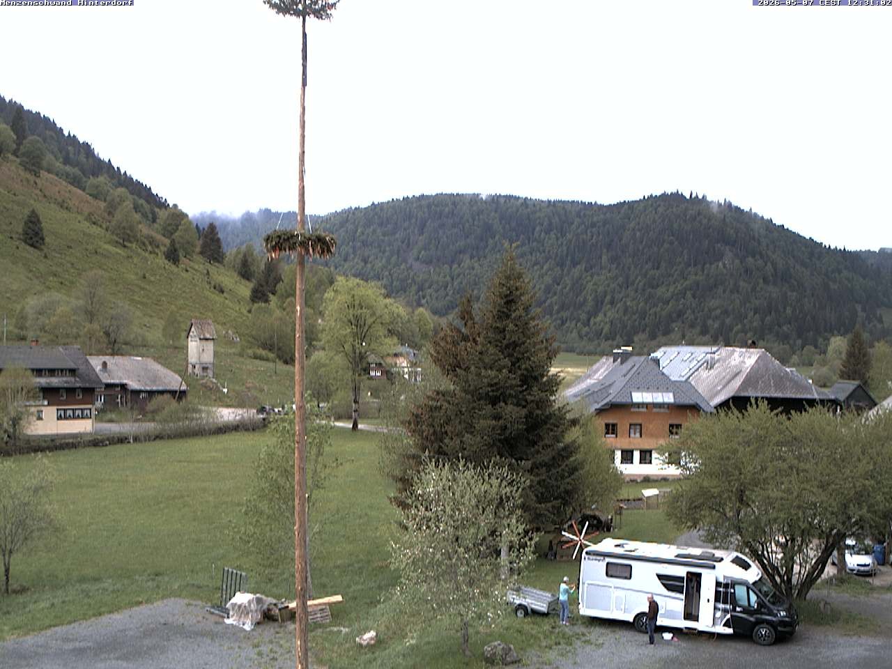 Archived image Webcam Menzenschwand (Hinterdorf)