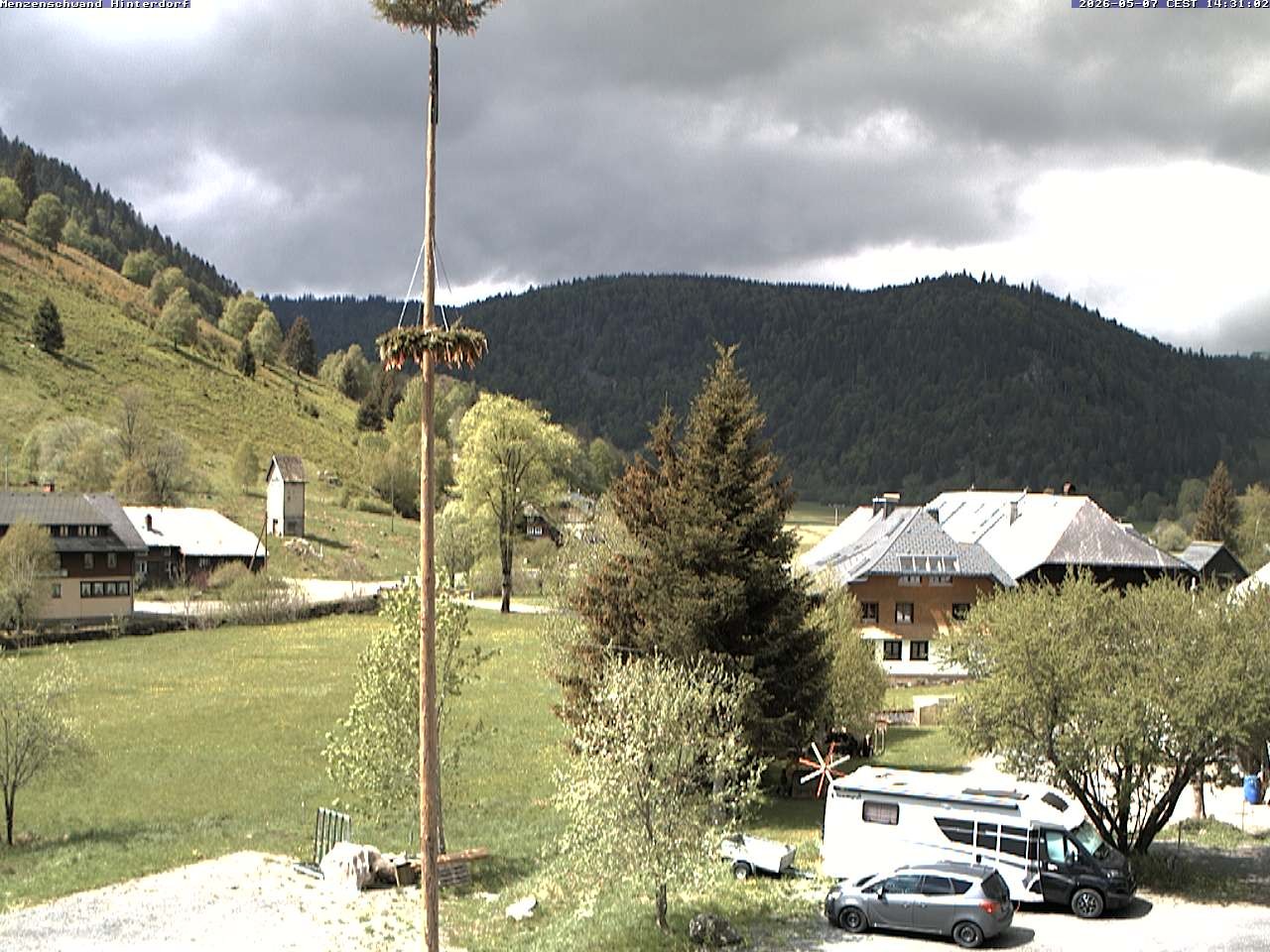 Archived image Webcam Menzenschwand (Hinterdorf)