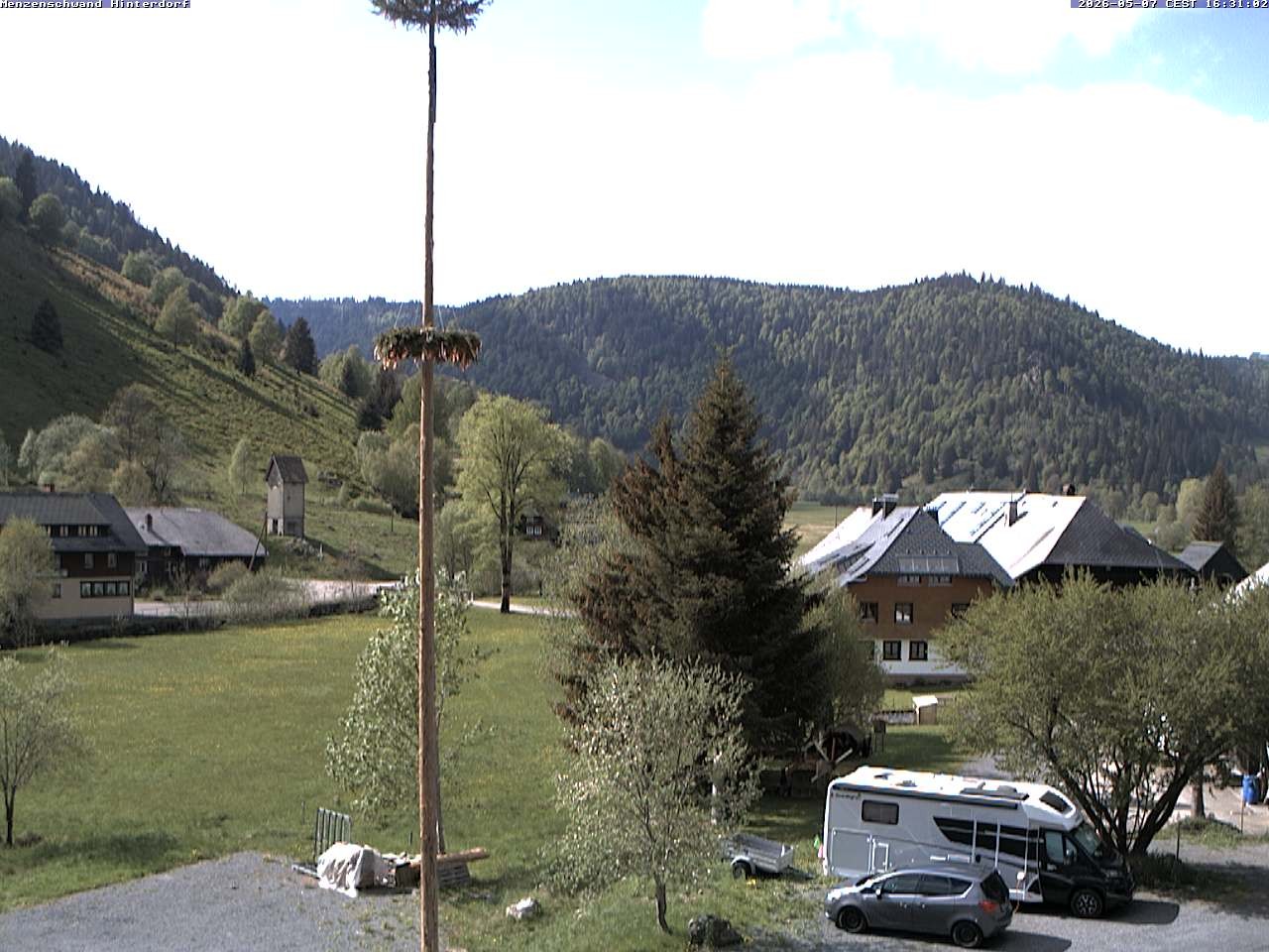 Archived image Webcam Menzenschwand (Hinterdorf)
