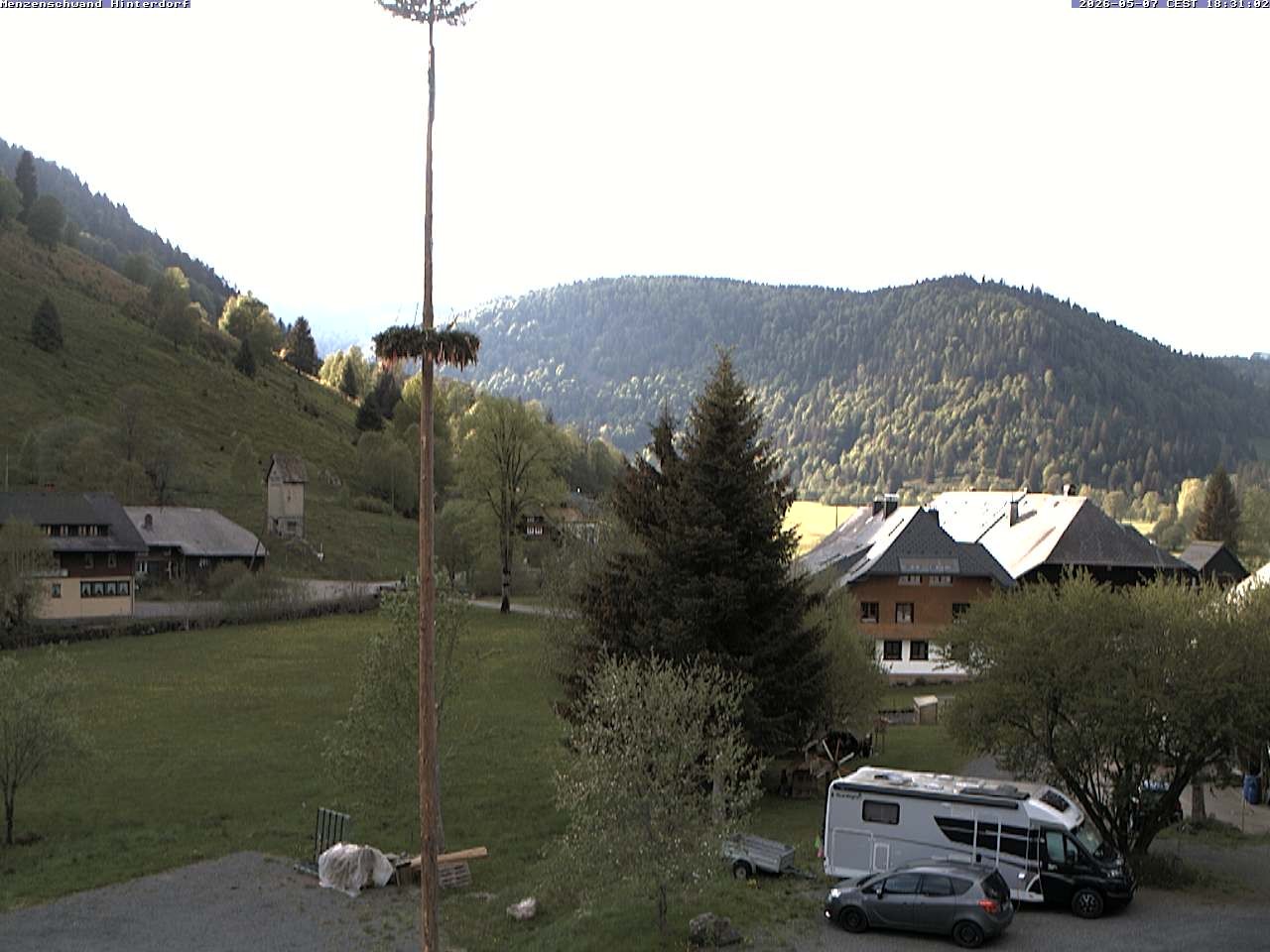 Archived image Webcam Menzenschwand (Hinterdorf)