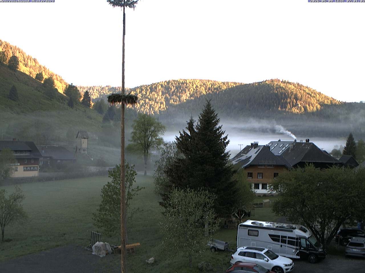 Archiv Foto Webcam Menzenschwand: Hinterdorf