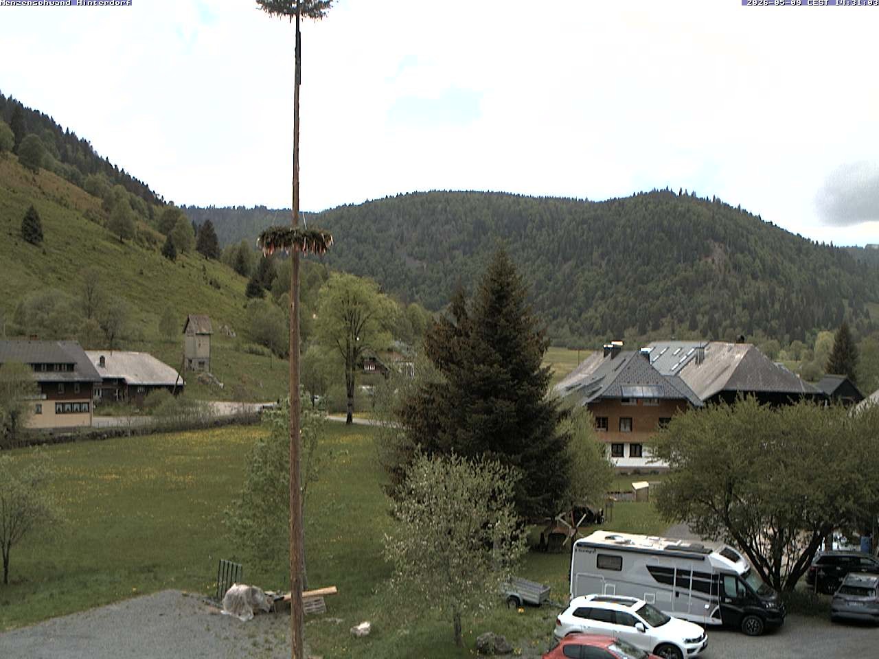 Archiv Foto Webcam Menzenschwand: Hinterdorf