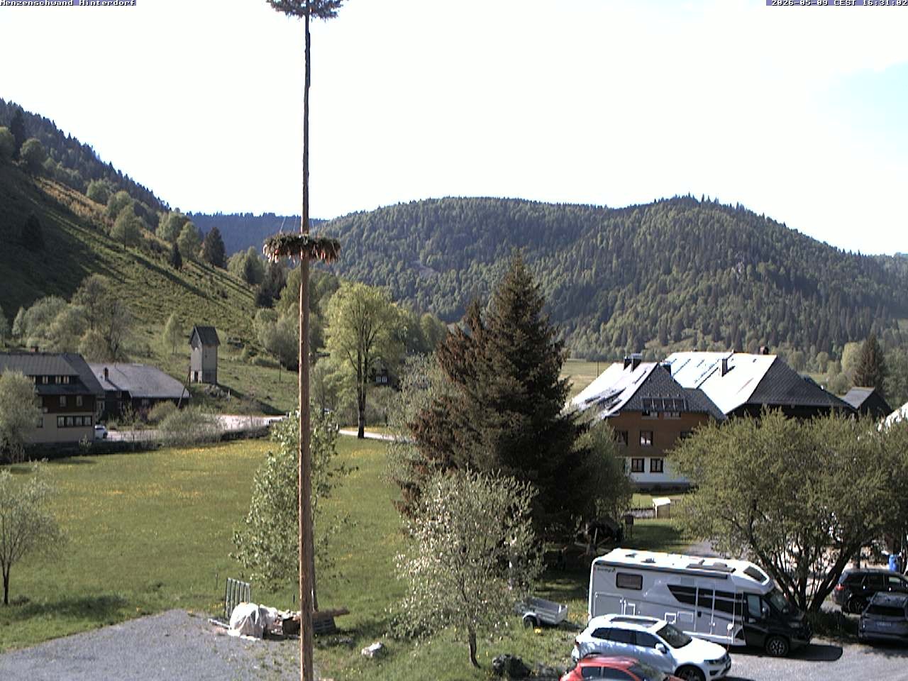 Archiv Foto Webcam Menzenschwand: Hinterdorf
