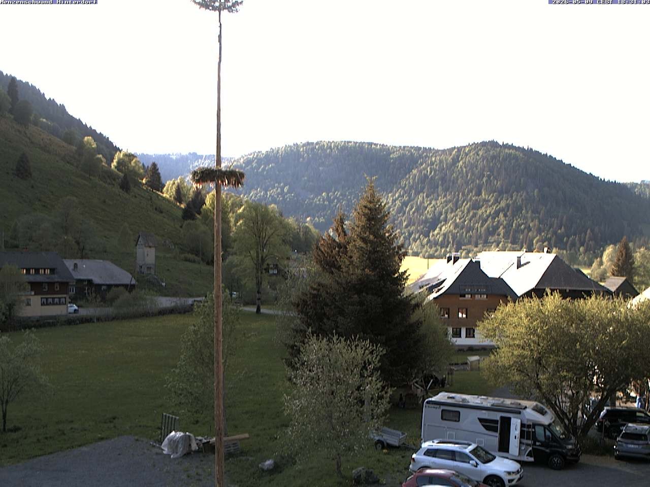 Archiv Foto Webcam Menzenschwand: Hinterdorf