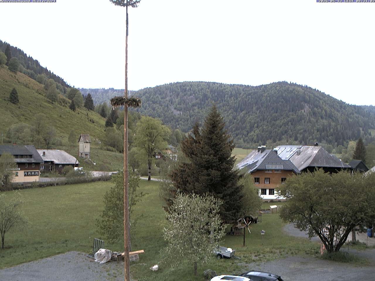 Archiv Foto Webcam Menzenschwand: Hinterdorf