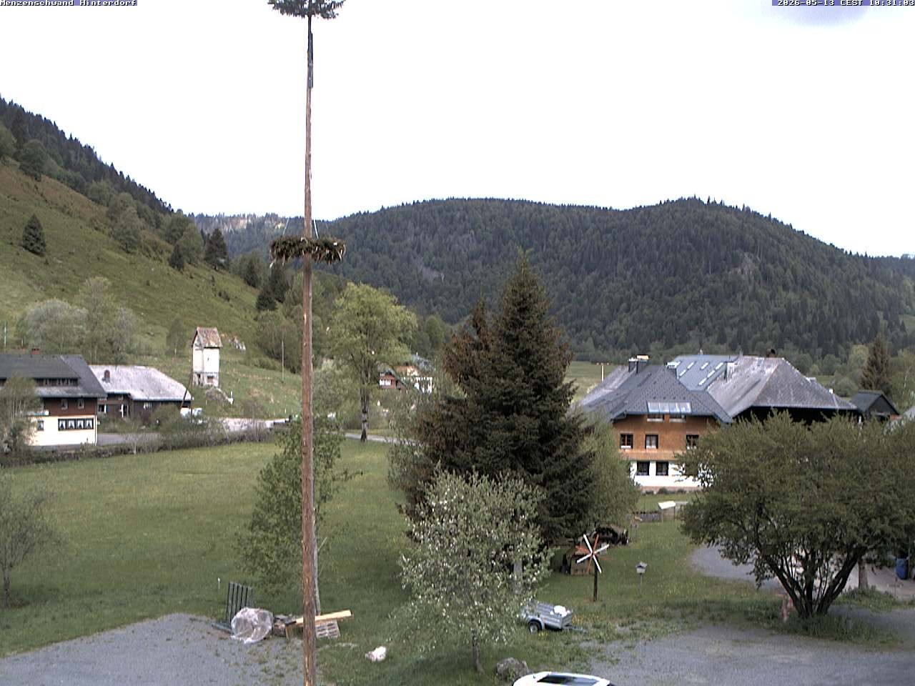 Archiv Foto Webcam Menzenschwand: Hinterdorf