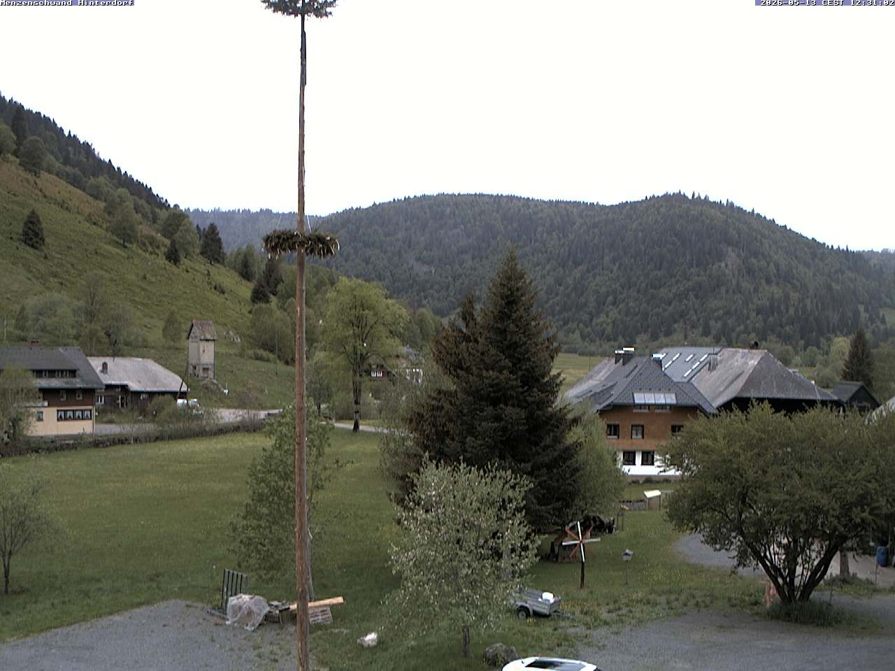 Archiv Foto Webcam Menzenschwand: Hinterdorf