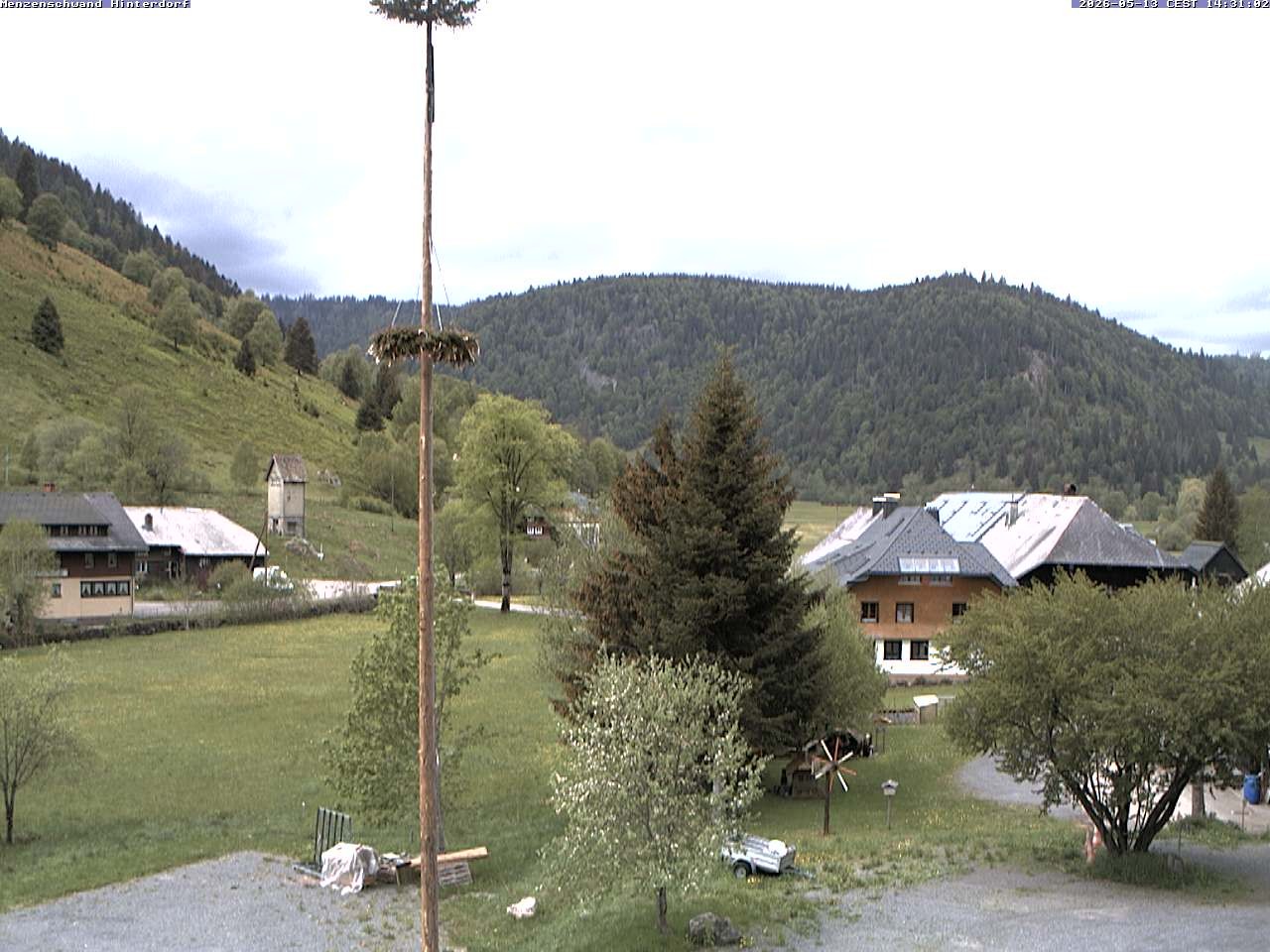 Archiv Foto Webcam Menzenschwand: Hinterdorf