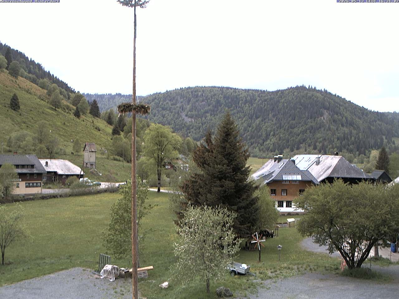 Archiv Foto Webcam Menzenschwand: Hinterdorf