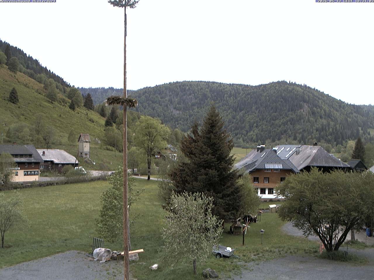 Archiv Foto Webcam Menzenschwand: Hinterdorf