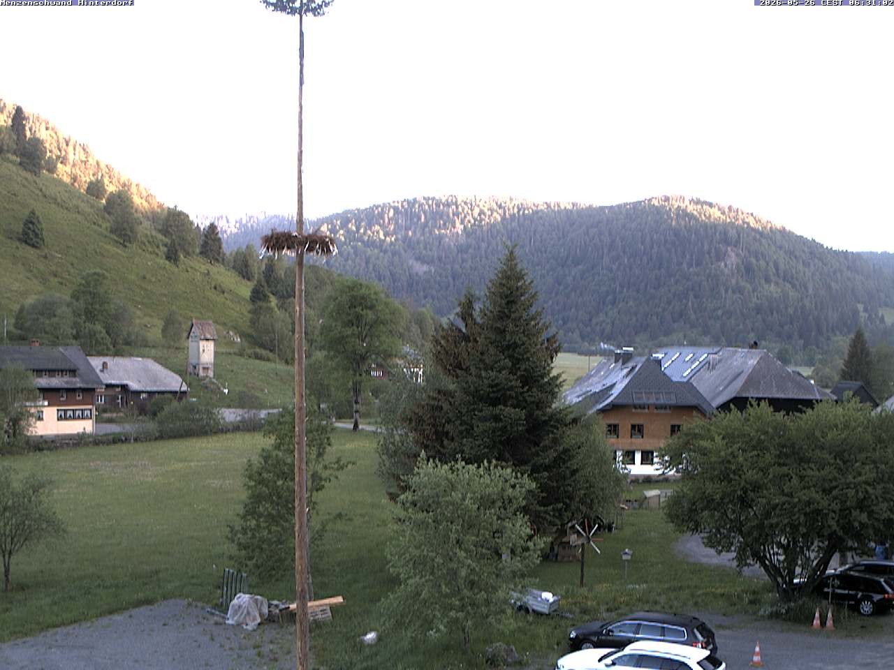 Archiv Foto Webcam Menzenschwand: Hinterdorf