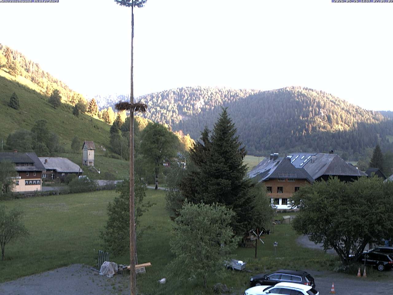 Archiv Foto Webcam Menzenschwand: Hinterdorf