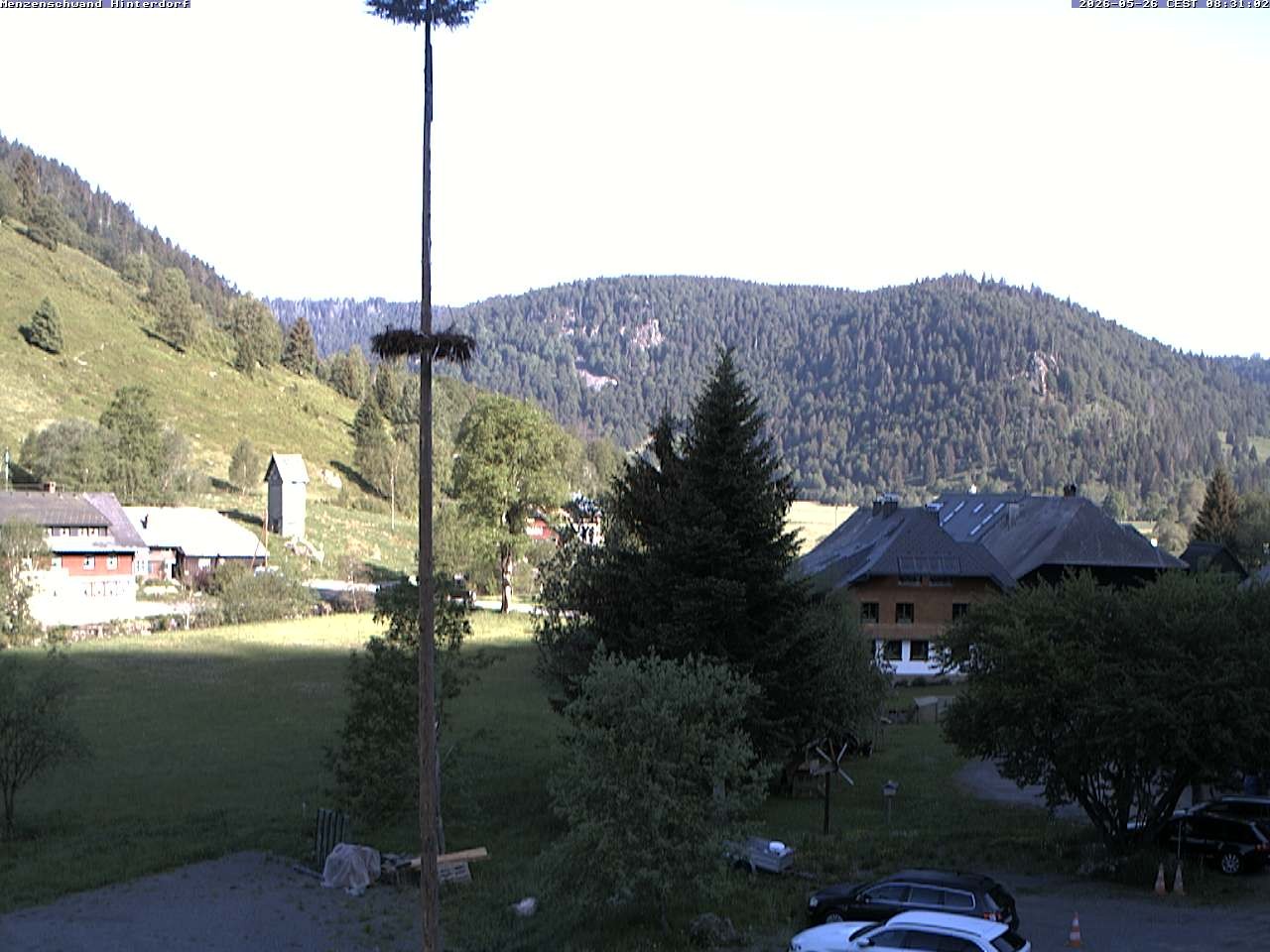 Archiv Foto Webcam Menzenschwand: Hinterdorf