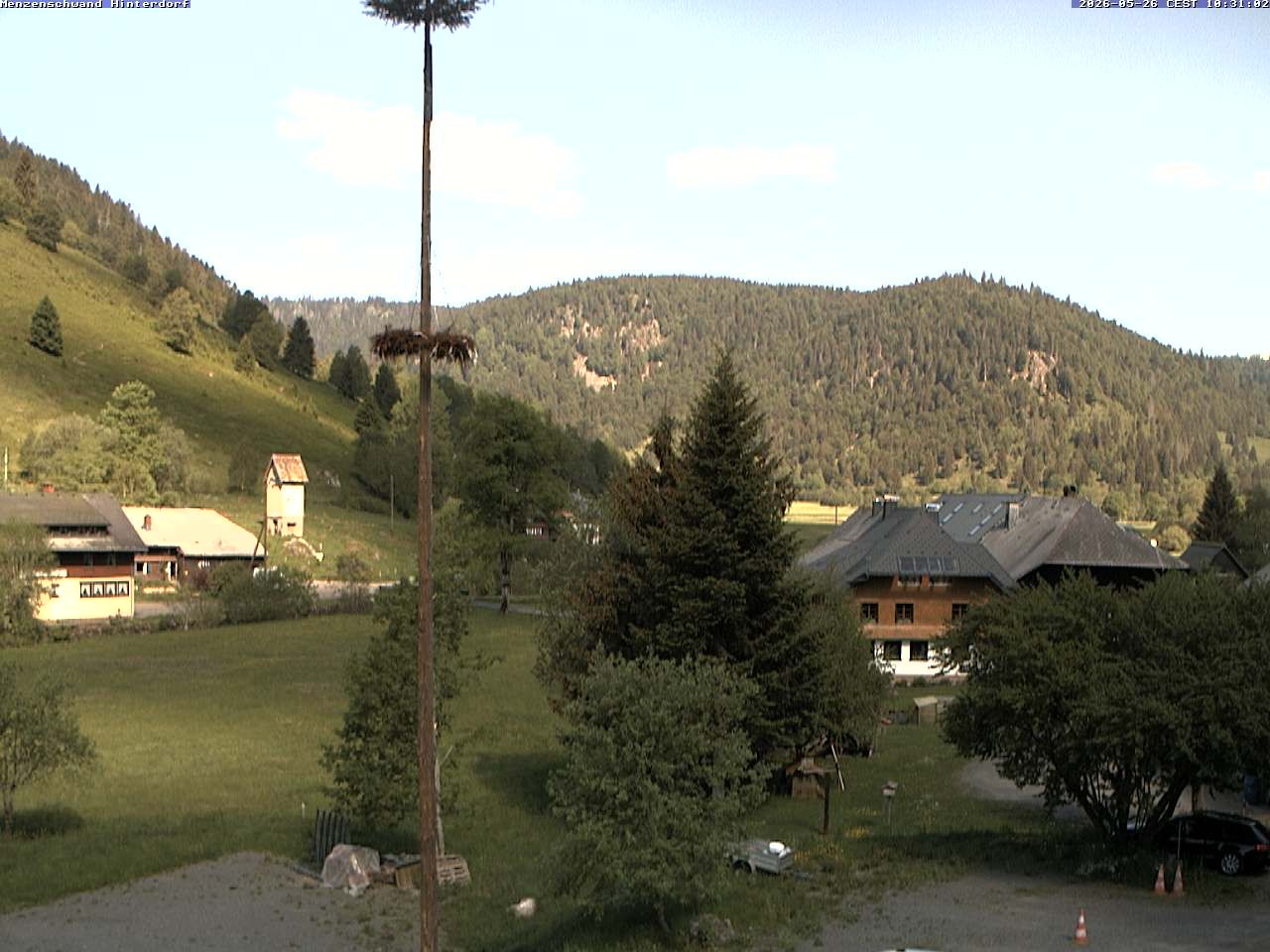 Archiv Foto Webcam Menzenschwand: Hinterdorf