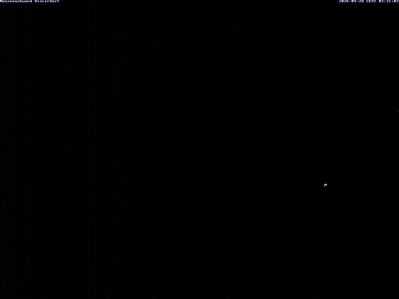 Archived image Webcam Menzenschwand (Hinterdorf)
