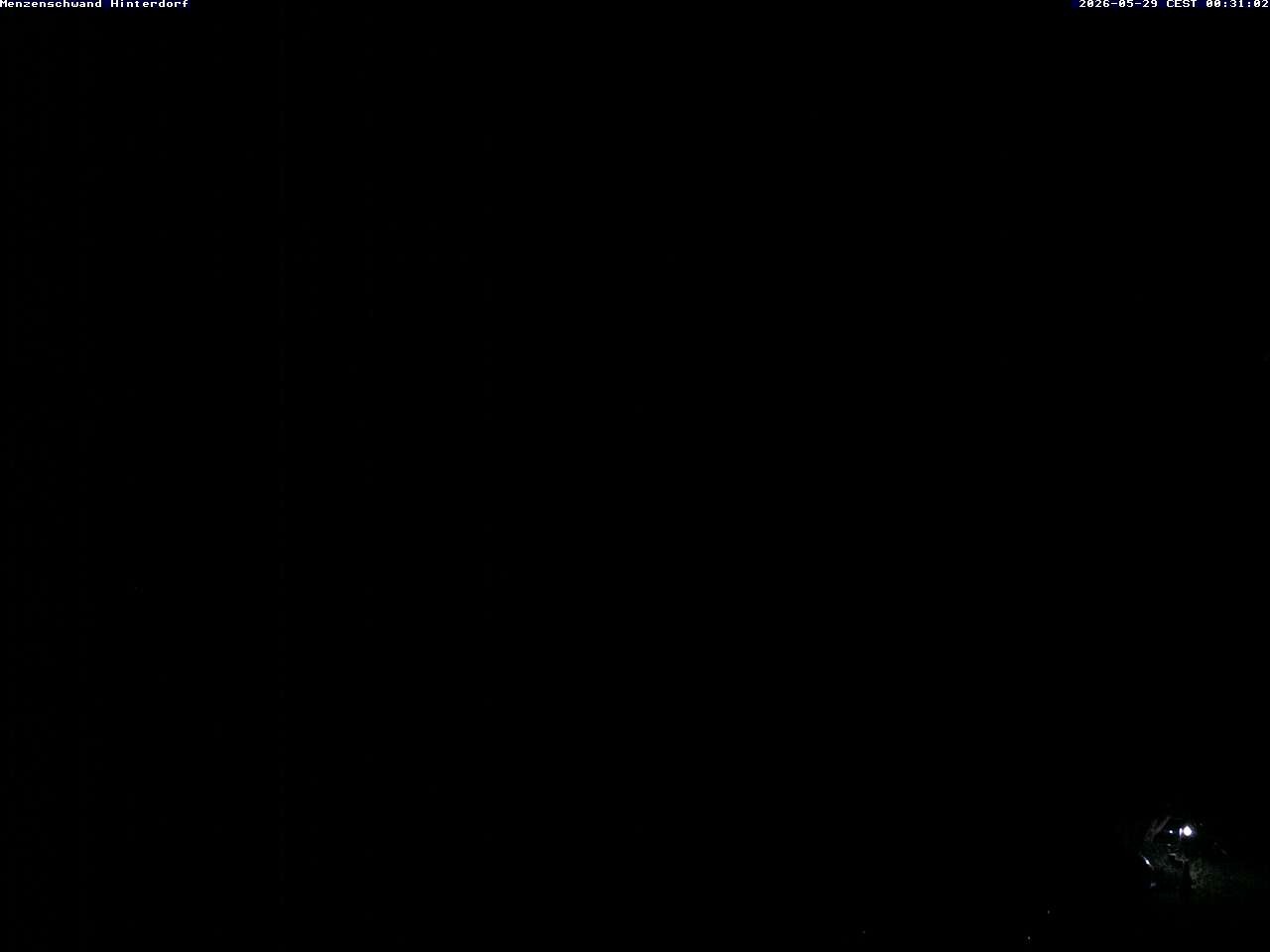 Archiv Foto Webcam Menzenschwand: Hinterdorf