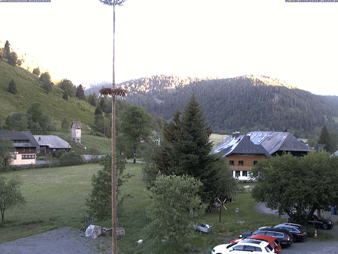 Archiv Foto Webcam Menzenschwand: Hinterdorf
