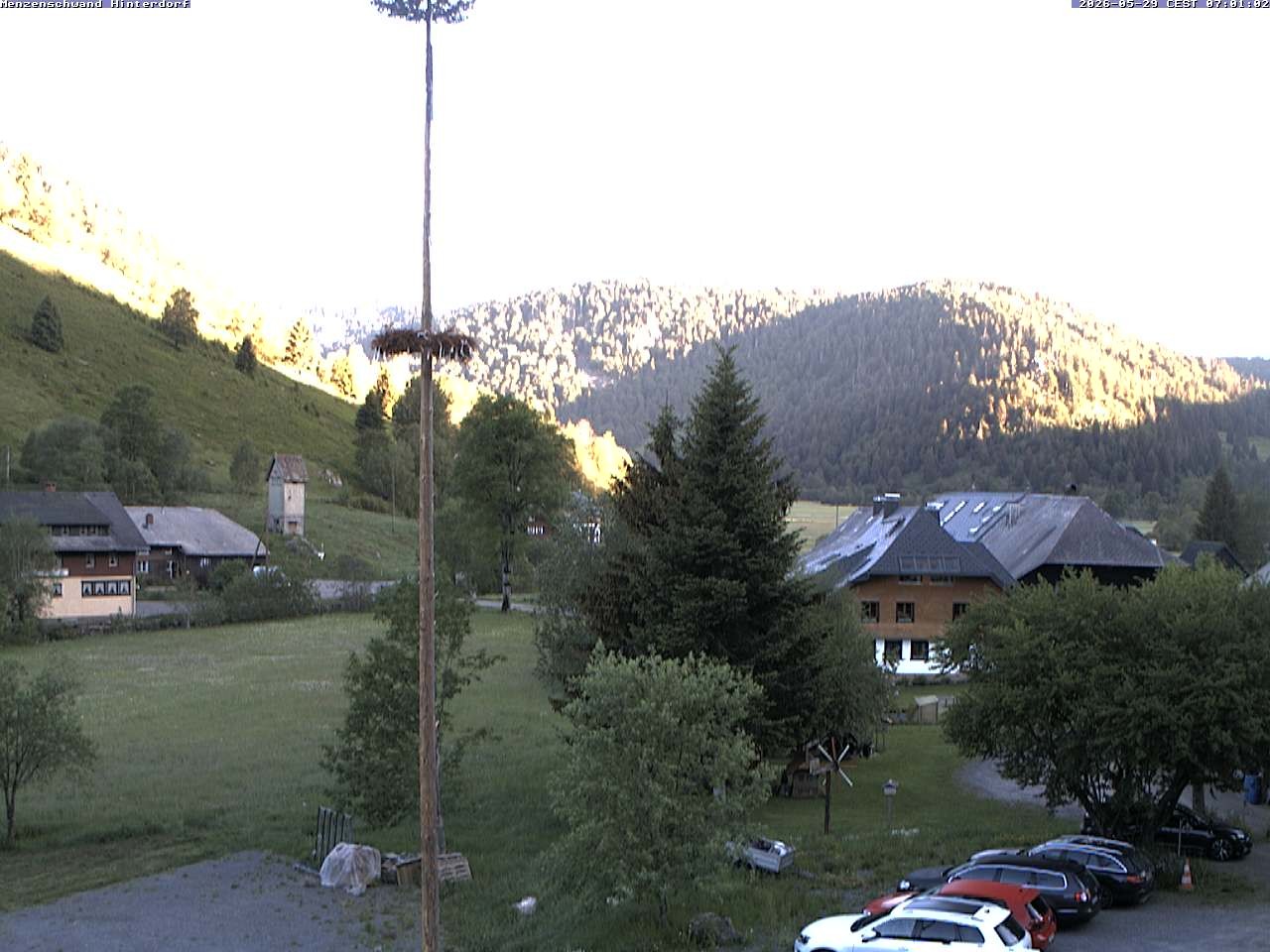 Archiv Foto Webcam Menzenschwand: Hinterdorf