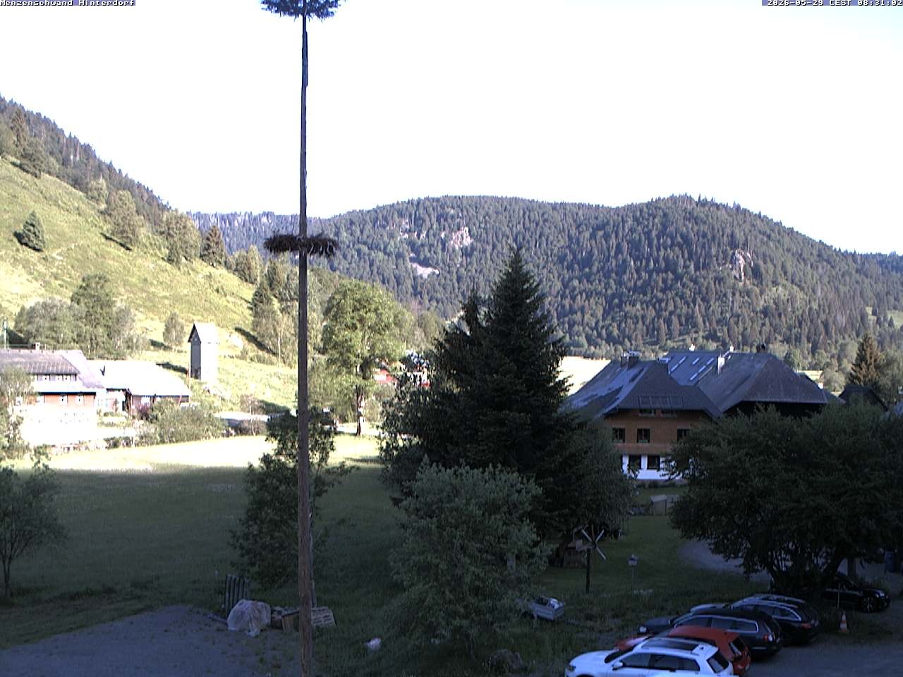 Archiv Foto Webcam Menzenschwand: Hinterdorf