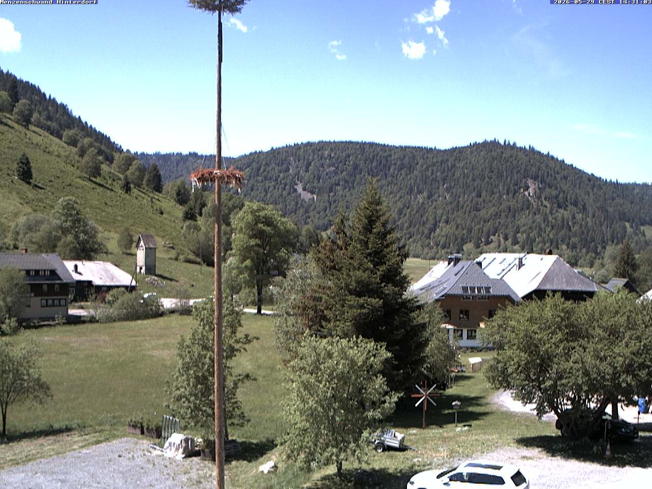 Archiv Foto Webcam Menzenschwand: Hinterdorf