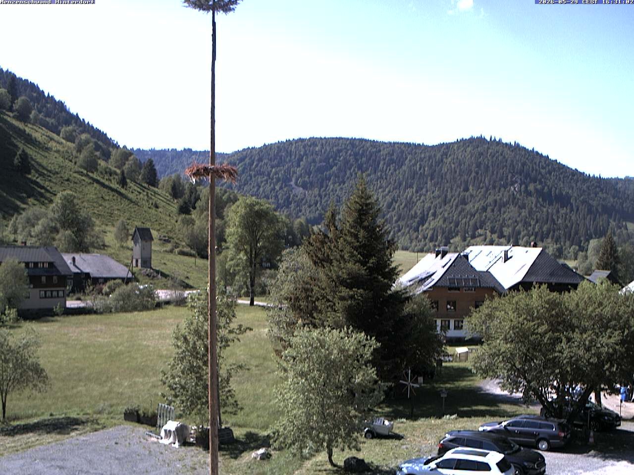 Archiv Foto Webcam Menzenschwand: Hinterdorf