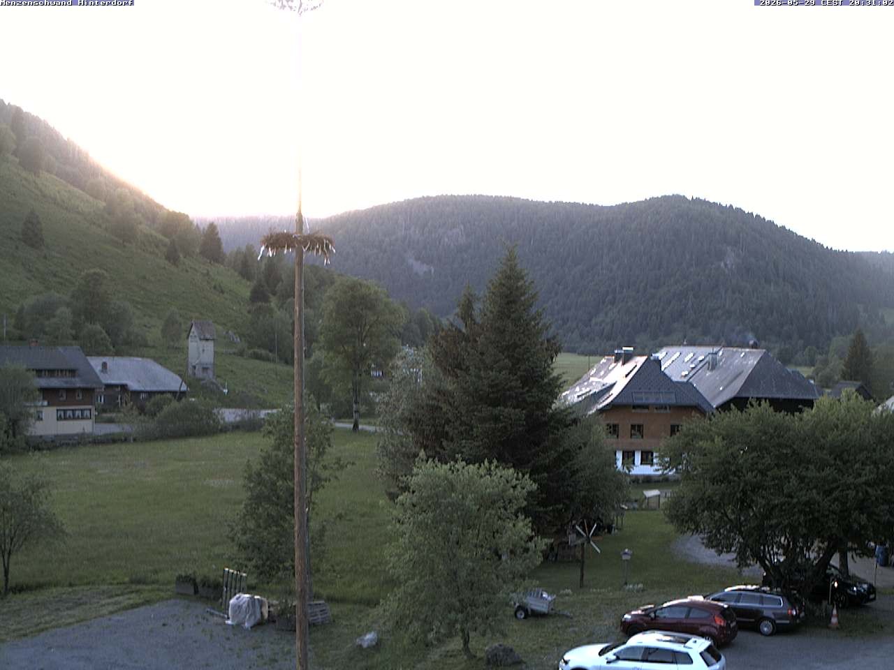 Archiv Foto Webcam Menzenschwand: Hinterdorf