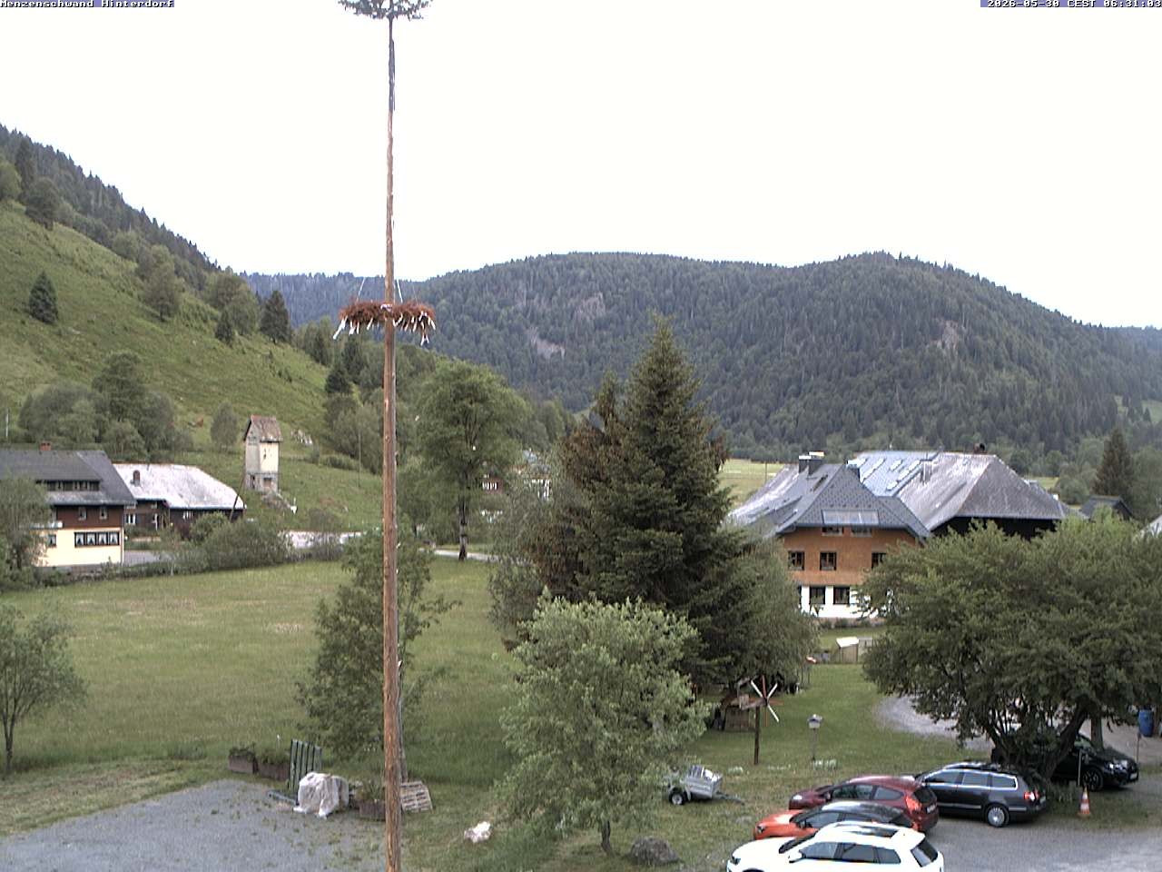Archived image Webcam Menzenschwand (Hinterdorf)