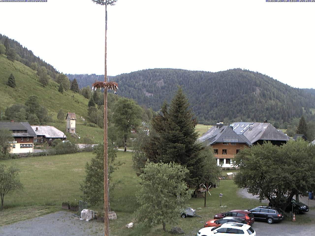Archived image Webcam Menzenschwand (Hinterdorf)
