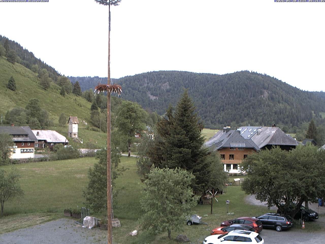 Archived image Webcam Menzenschwand (Hinterdorf)