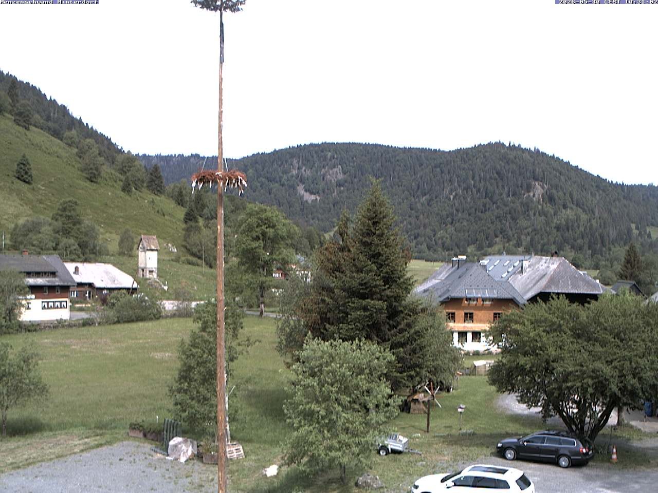 Archived image Webcam Menzenschwand (Hinterdorf)